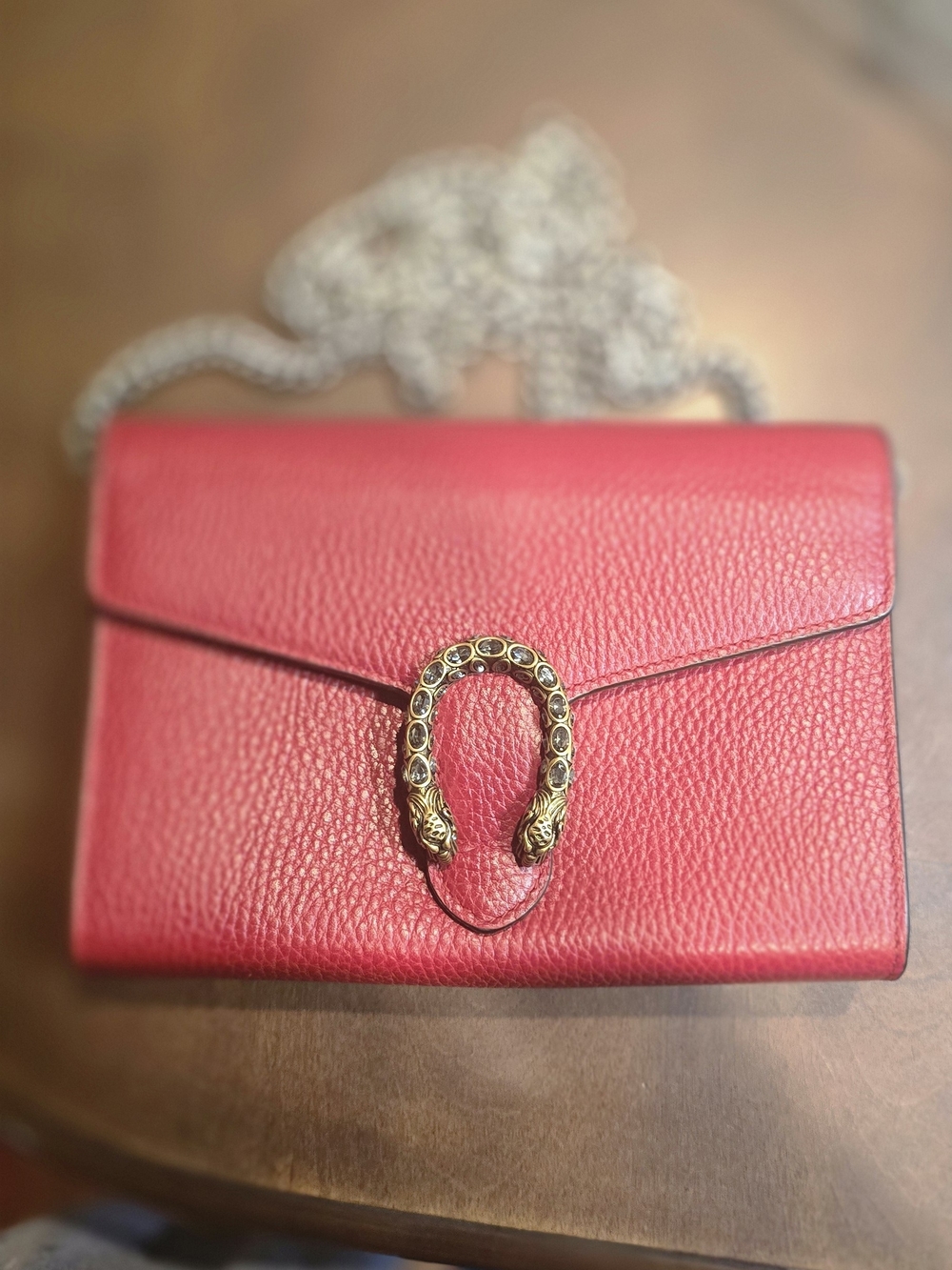 Gucci Dionysus Wallet On Chain